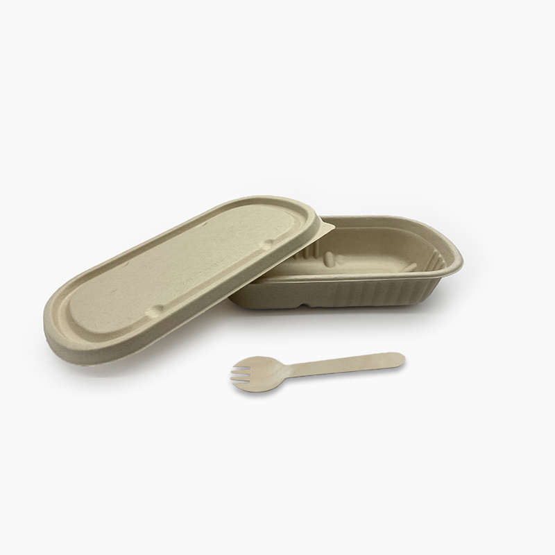 Disposable bagasse single compartment 750ml salad box