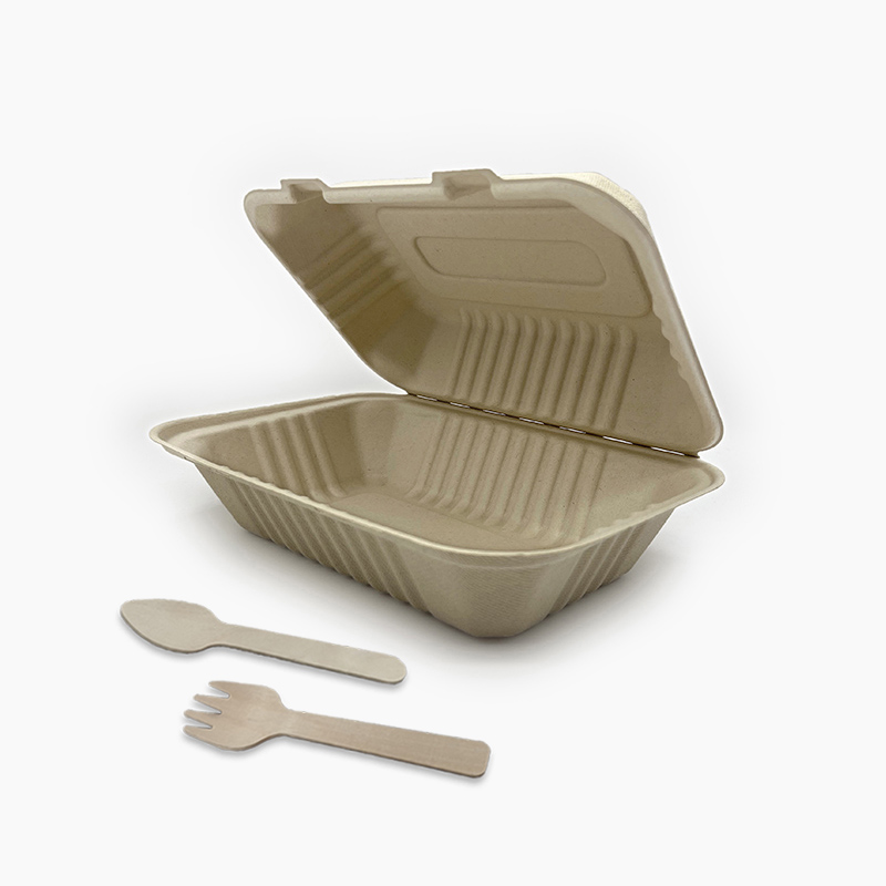 9*6 Lunch Box Biodegradable Sugar Cane Foldable Lunch Box