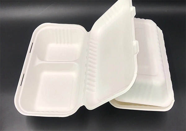 Harnessing the Advantages of Sugarcane Bagasse Food Containers for a Sustainable Future